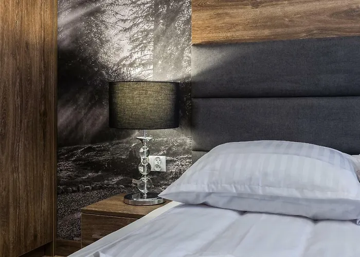 아파트 Helena, Odkryj-zakopane